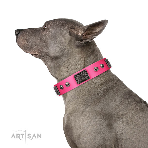 Embellished leather collar for your stylish dog