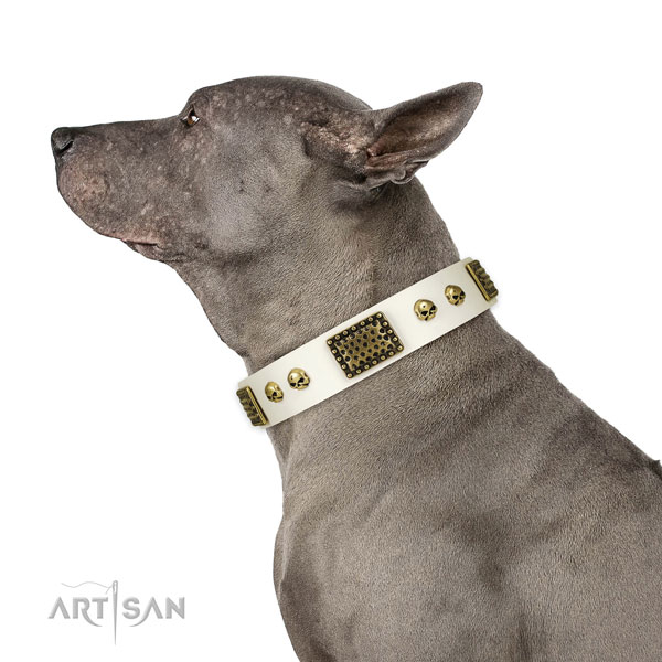Reliable fittings on full grain genuine leather dog collar for basic training