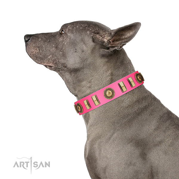 Adjustable genuine leather dog collar with rust-proof D-ring