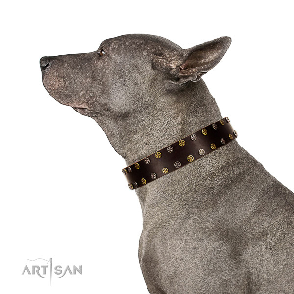 Handy use full grain leather dog collar with adornments