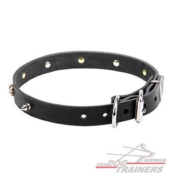 Leather Dog Collar