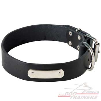 Training dog collar with id tag