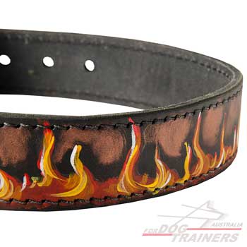 Unique training dog collar