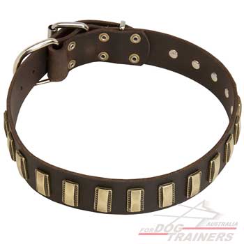 Dog collar with plates