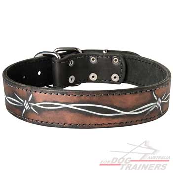 Walking dog collar with stylish painting