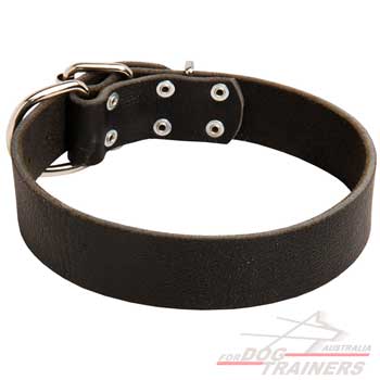 Classic Wide Dog Collar