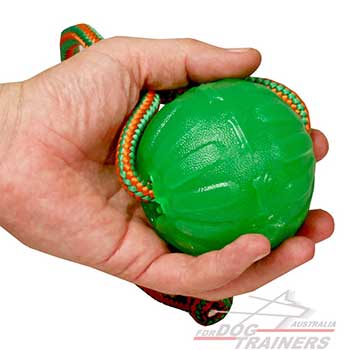 Dog Chew and Fetch Ball