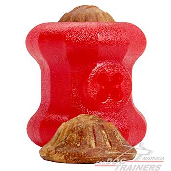 Dog Toy of high-quality  material