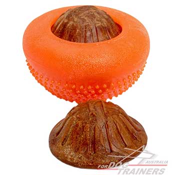 Dog Ball for Interactive Games of Large Size