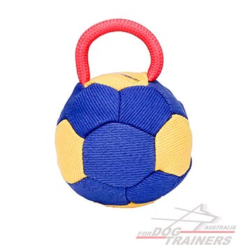 Dog Toy for Overactive dogs