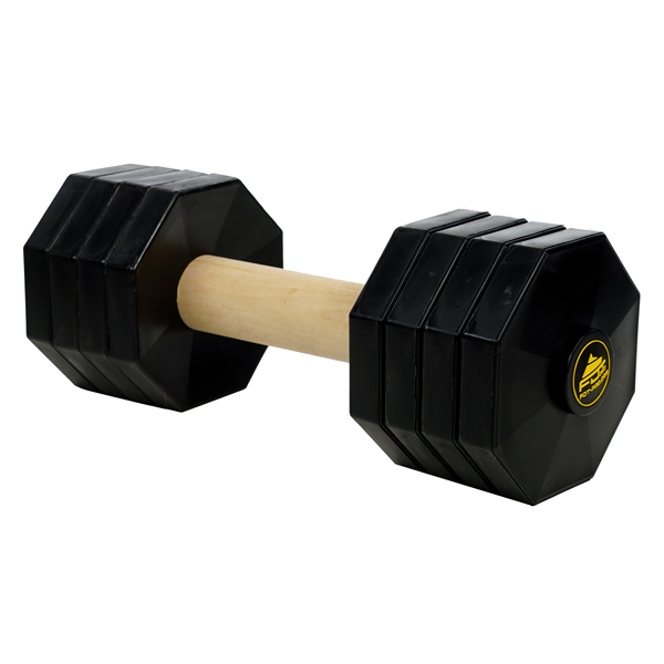 Removable plastic plates for training dog dumbbell