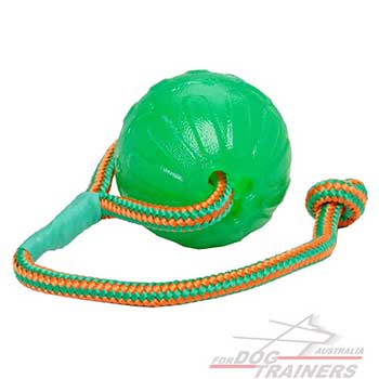Water floating dog ball 