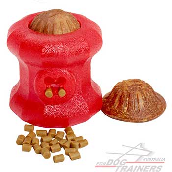 Quality Dog Toy for Chewing