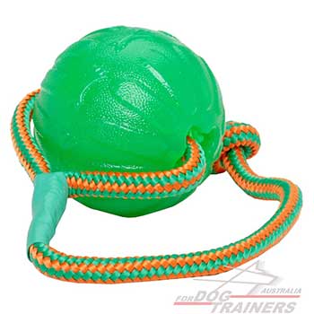 Quality water floating dog ball