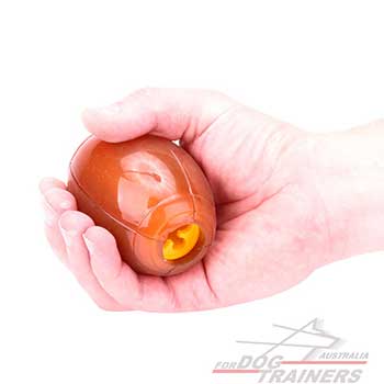 Special rubber entertaining dog toy of medium size