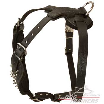 4 ways adjustable dog harness