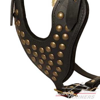 Chest Plate of Leather Harness Made of Genuine Leather