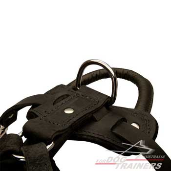 Timeproof leather dog harness for big and strong dogs