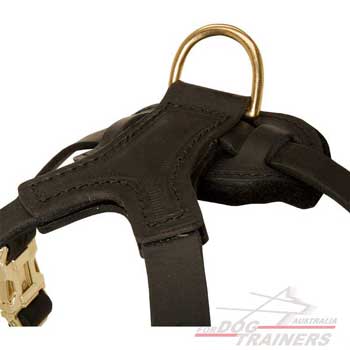 D-Ring on Leather Dog Harness Super Durable