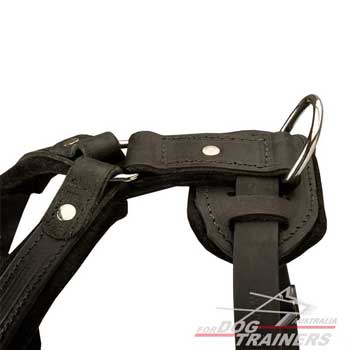 Topnotch leather dog harness has D-Ring on the top