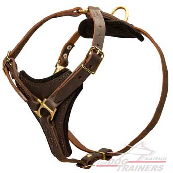 Dog Leather Tracking Harness Padded Chest Plate 