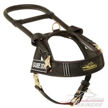 Leather dog harness equipped with two handles