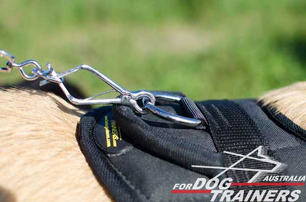 Dog-harness-nylon