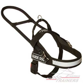 Easy in use reflective nylon harness