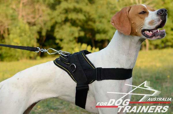 Comfortable Nylon English Pointer Harness for Pulling