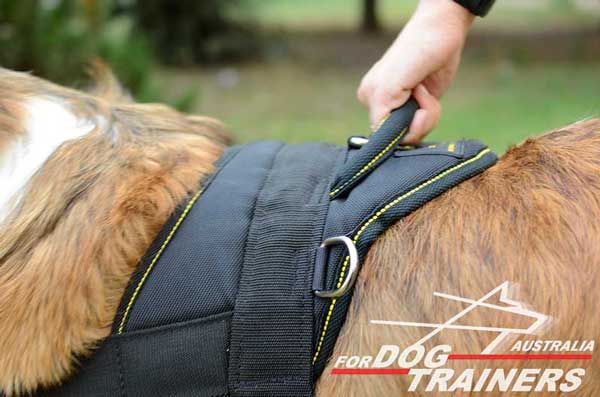 Durable Nylon Canine Harness with Upper Control Handle
