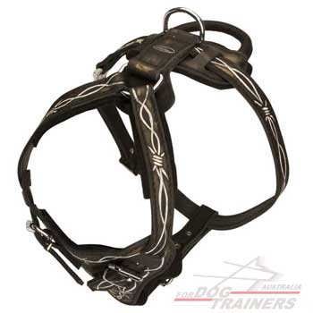 Leather dog harness with wide padded chest plate