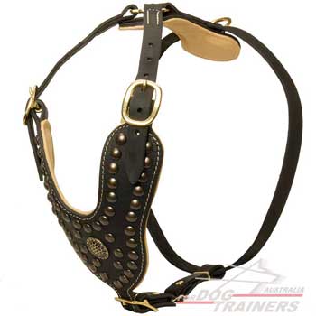 Nappa Padded Leather Dog Harness