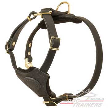 Leather Dog Harness Brass Rivets