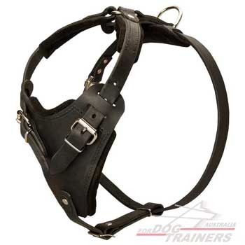 High quality protection leather dog harness for regular wear