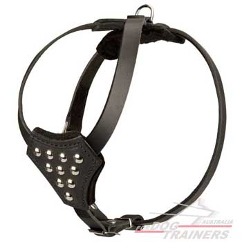 Best Handmade Dog Puppies Harness