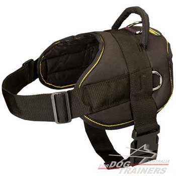 Lightweight Nylon Canine Harness