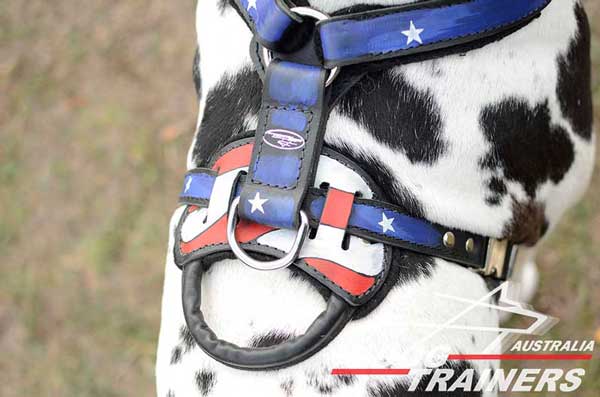 Padded back plate of leather harness