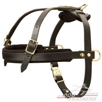 Pulling Leather Dog Harness Felt Padded Chest Strap