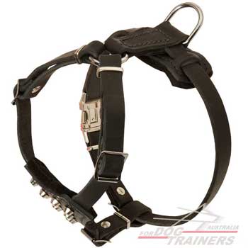 Puppy Leather Harness with Felt Padding