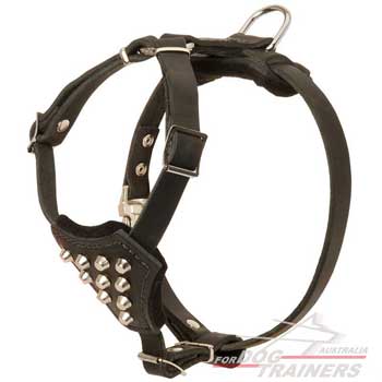 Puppy Leather Harness Studded Walking
