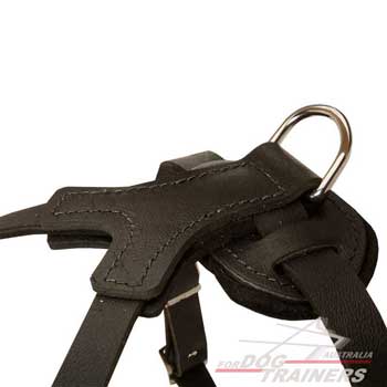 Reliable D-ring dog harness