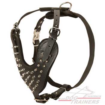 All purpose training  harness