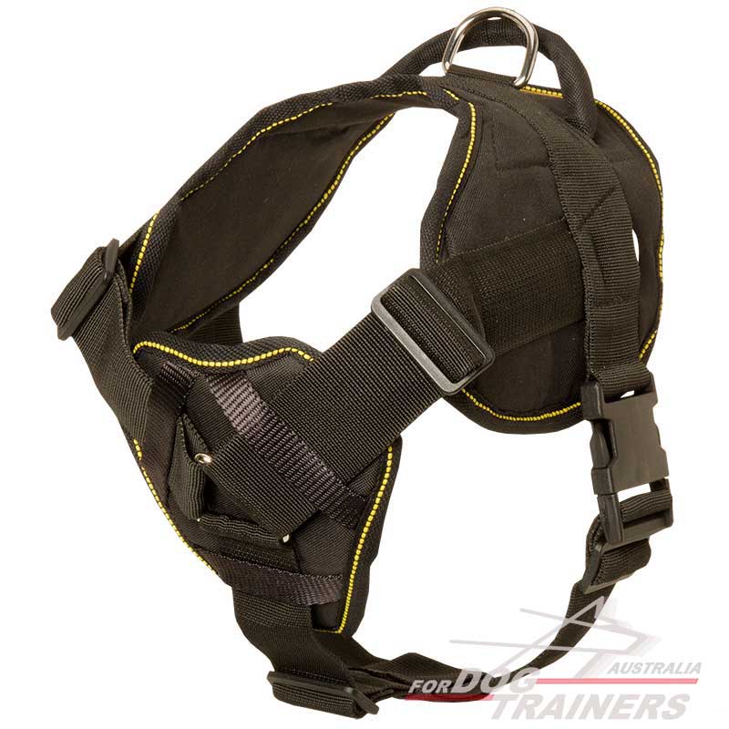 Buy Tracking Pulling Nylon Dog Harness | Australia Canine ...