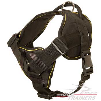Soft nylon harness with wide chest plate