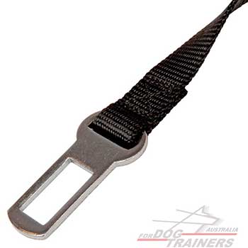Clasp for Dog Seat Belt
