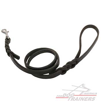 Braided Leather Dog Leash for Pet Walking