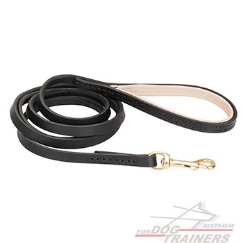 Comfortable and Reliable Dog Gorgeous Design Leash