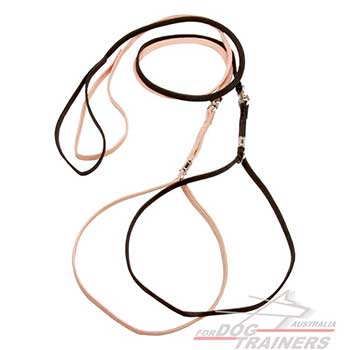 Show Dog Lead Made of Nylon