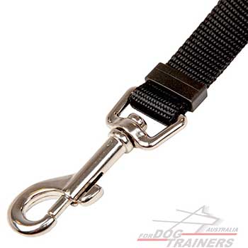 Snap Hook on Canine Seat Belt