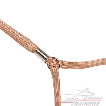  Stopper on Nylon Dog Leash